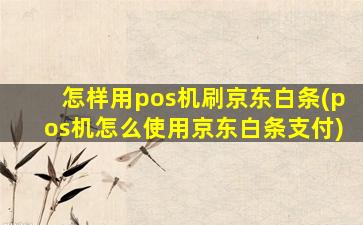 怎样用pos机刷京东白条(pos机怎么使用京东白条支付)