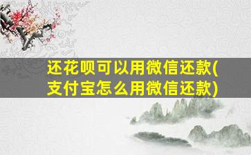 还花呗可以用微信还款(支付宝怎么用微信还款)