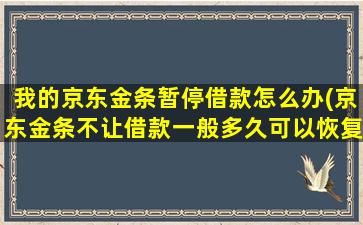 我的京东金条暂停借款怎么办(京东金条不让借款一般多久可以恢复)