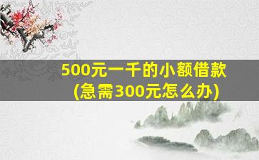 500元一千的小额借款(急需300元怎么办)