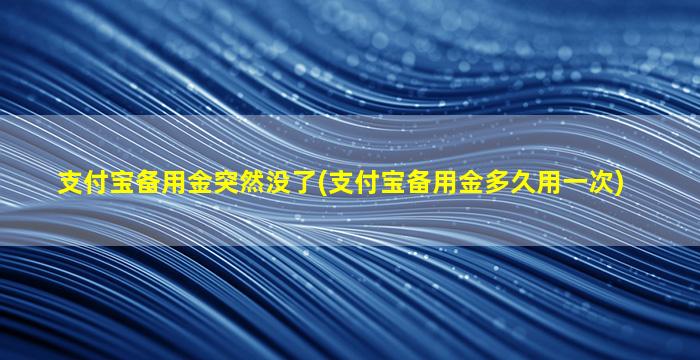 支付宝备用金突然没了(支付宝备用金多久用一次)