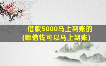 借款5000马上到账的(哪借钱可以马上到账)