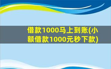 借款1000马上到账(小额借款1000元秒下款)