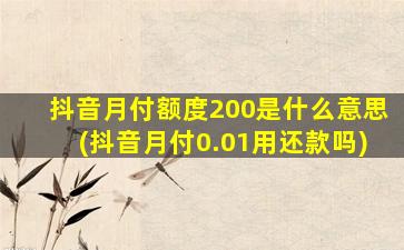 抖音月付额度200是什么意思(抖音月付0.01用还款吗)