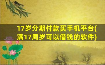 17岁分期付款买手机平台(满17周岁可以借钱的软件)