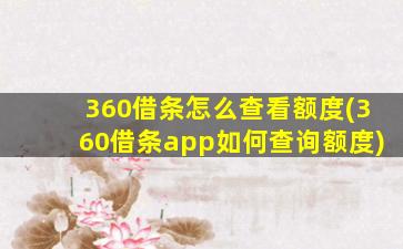 360借条怎么查看额度(360借条app如何查询额度)