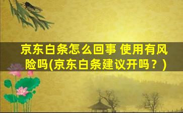 京东白条怎么回事 使用有风险吗(京东白条建议开吗？)