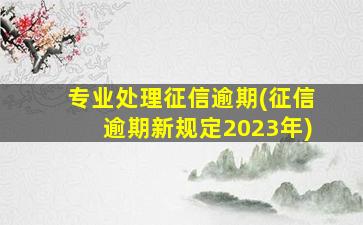 专业处理征信逾期(征信逾期新规定2023年)