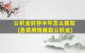 公积金封存半年怎么提取(急需用钱提取公积金)