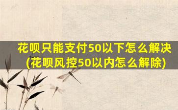 花呗只能支付50以下怎么解决(花呗风控50以内怎么解除)