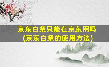 京东白条只能在京东用吗(京东白条的使用方法)