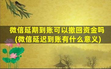 微信延期到账可以撤回资金吗(微信延迟到账有什么意义)