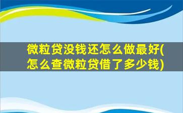 微粒贷没钱还怎么做最好(怎么查微粒贷借了多少钱)