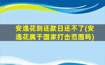 安逸花到还款日还不了(安逸花属于国家打击范围吗)